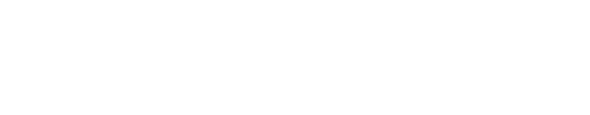 The New York Auto Experience logo